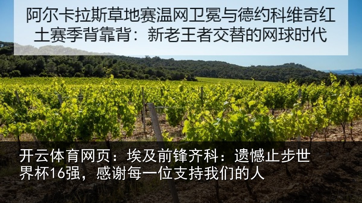 开云体育网页：埃及前锋齐科：遗憾止步世界杯16强，感谢每一位支持我们的人